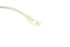 LT14 THE COOL KID SUN col.Champagne / Blue Grey